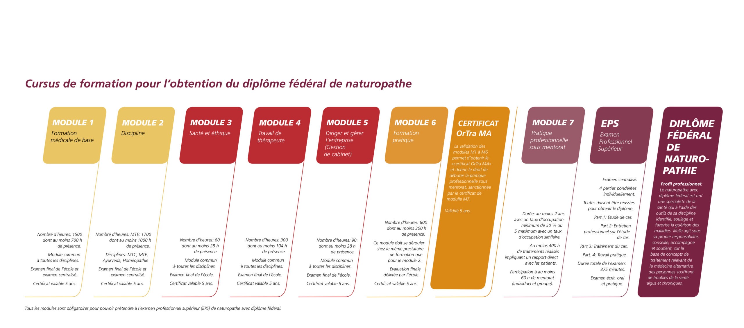 Schéma cursus modules