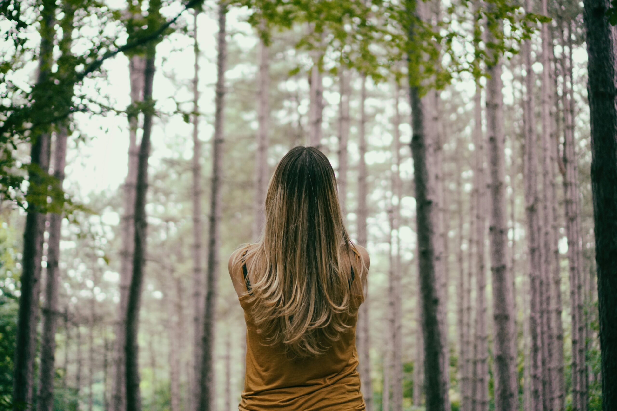 femme de dos dans la foret
